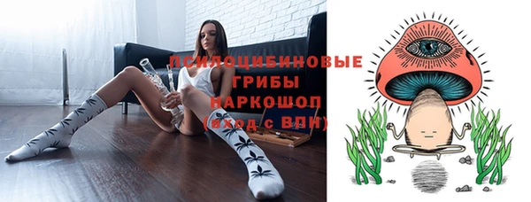 гашик Пестово