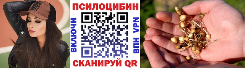 Галлюциногенные грибы Cubensis  MEGA tor  Дмитровск 
